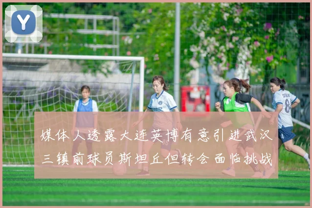 媒体人透露大连英博有意引进武汉三镇前球员斯坦丘但转会面临挑战