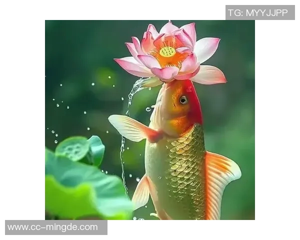 徐新自称阳光球迷称其锦鲤认为好运来自于不做亏心事